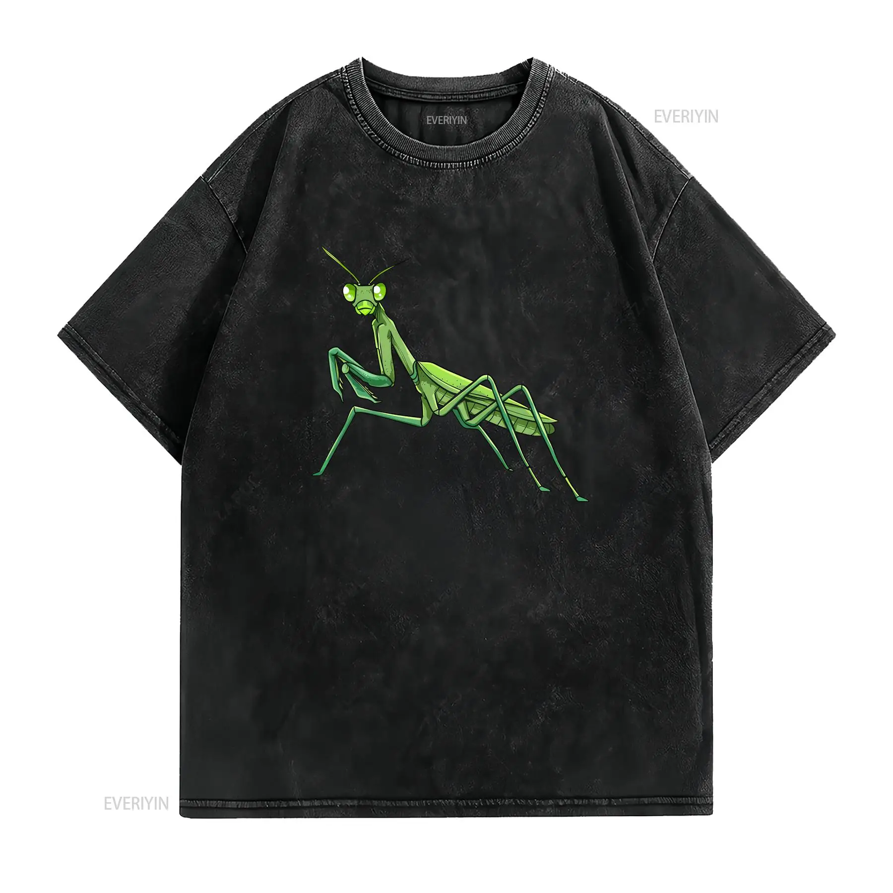 Praying Mantis Bug Insect Love - Vintage Fashion Bug 评论和价格